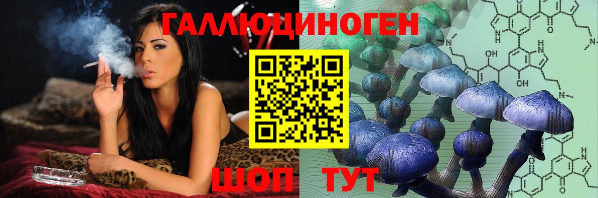 Кизилюрт  Псилоцибиновые грибы прущие грибы  Вход с VPN 